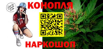 крисы Кинель