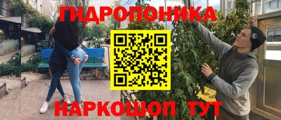 бошки Кимры