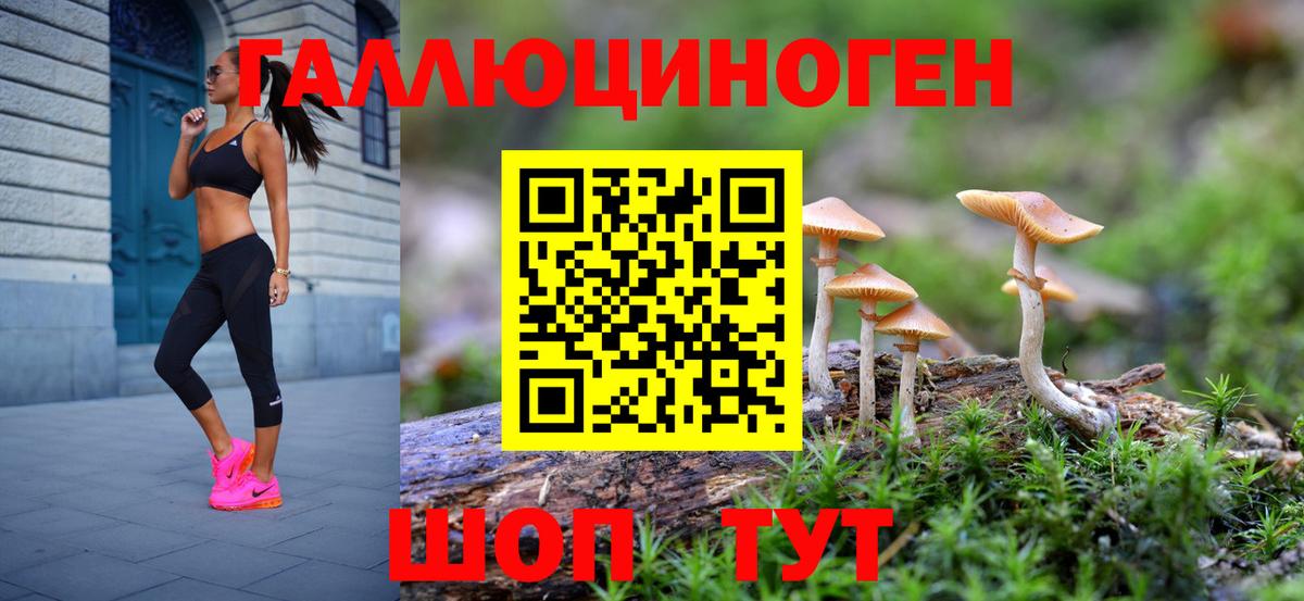 Дзержинск  Псилоцибиновые грибы Psilocybe  Вход с VPN 
